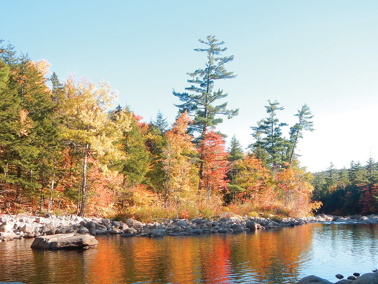 Take Me To The River