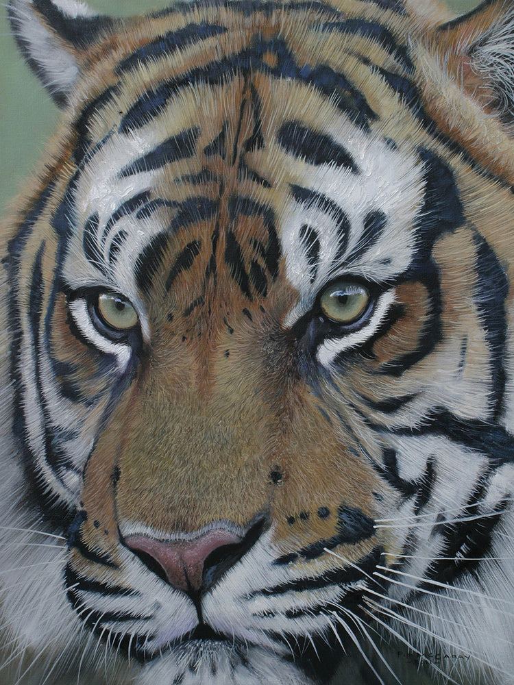 Arte de la lona de la cara del tigre de Sumatra