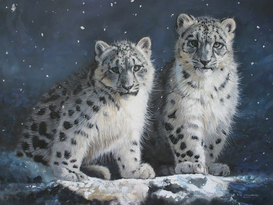 Young Snow Leopards Into the Dark Canvas Art