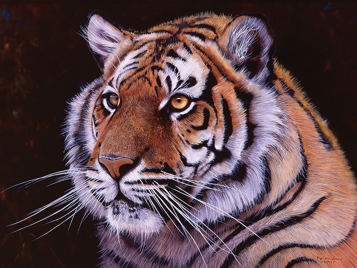 Arte de la lona del tigre de Bengala