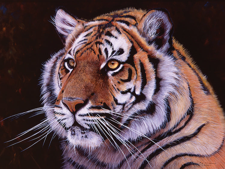 Arte de la lona del tigre de Bengala