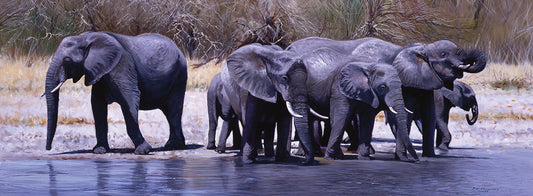 Elephants Drinking Canvas Art