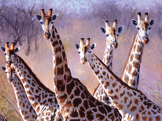 Giraffes Canvas Art