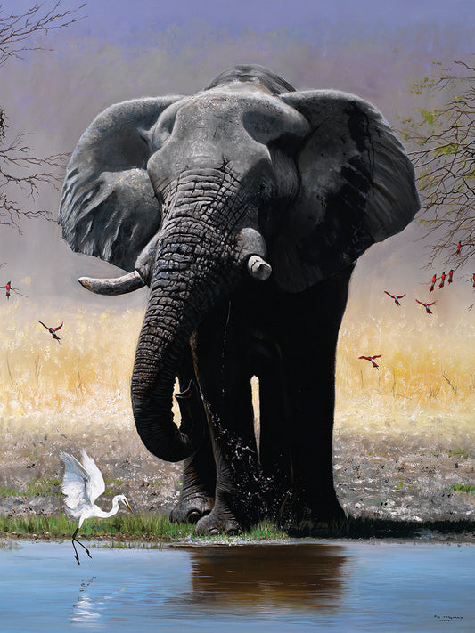 Elephant, Egret And Carmines Canvas Art