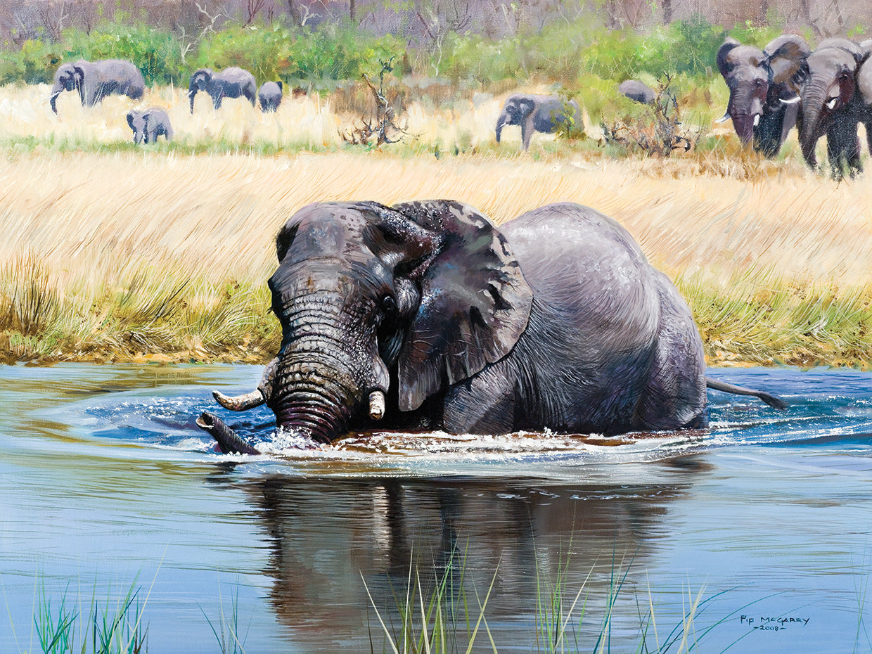 Elefante, arte de la lona del delta del Okavango