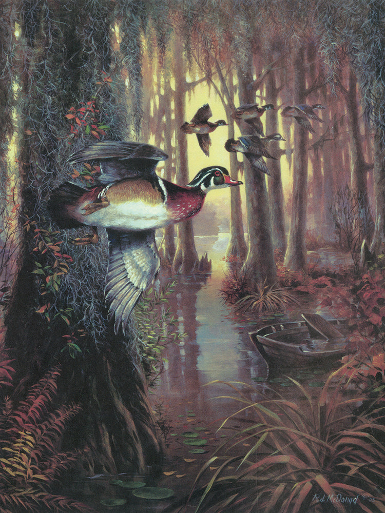 Return to Walkers Pond