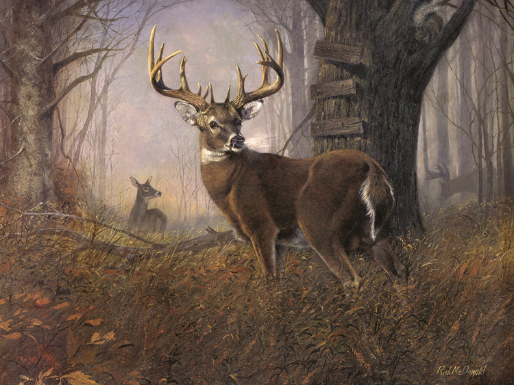 The Impending Challenge