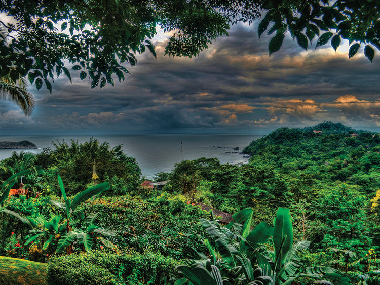 Tropical View Landscape