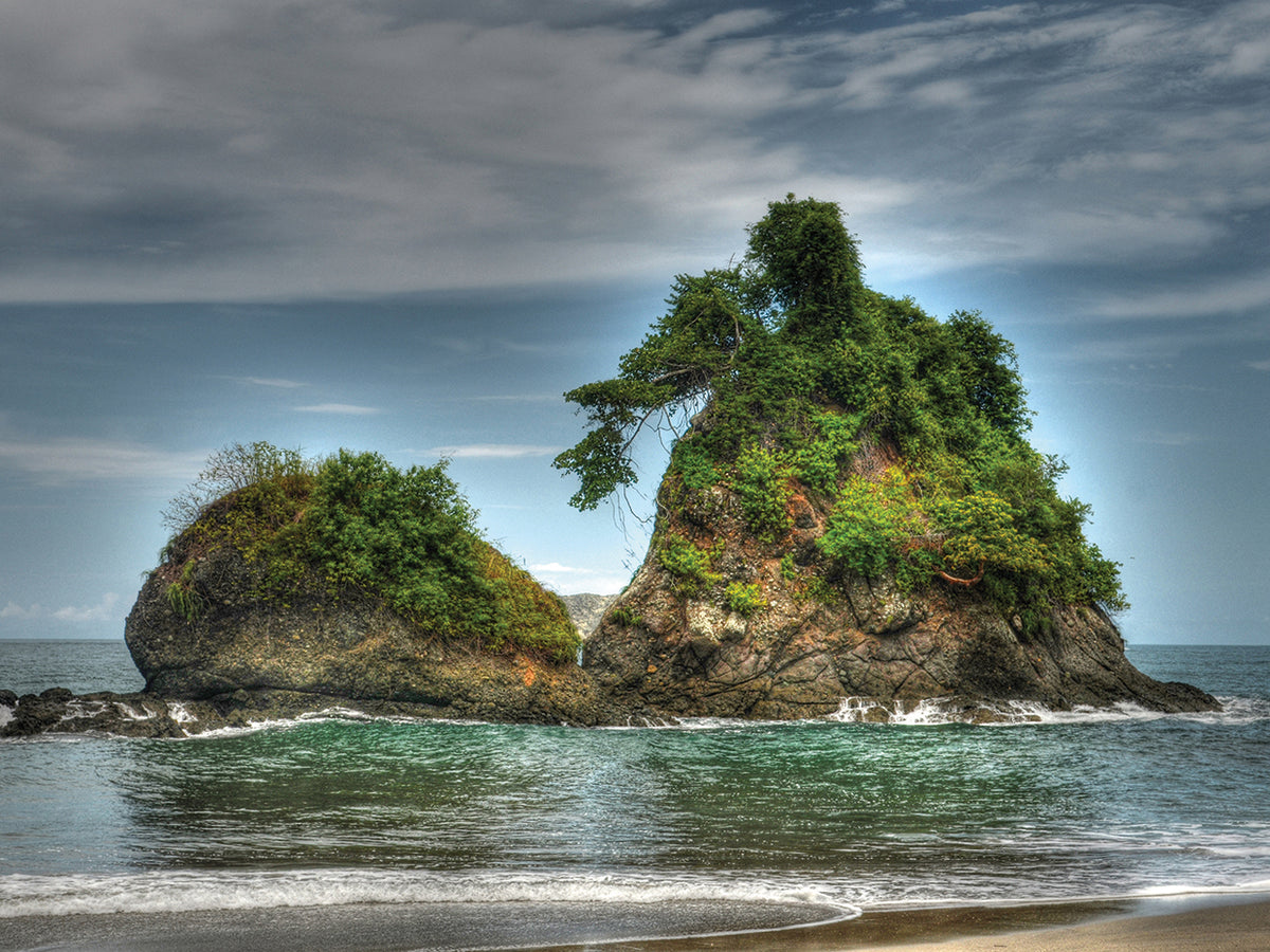 Nature on Ocean