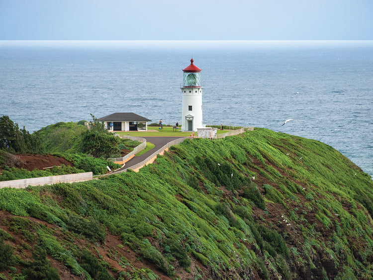 Kilauea Lighthouse 3