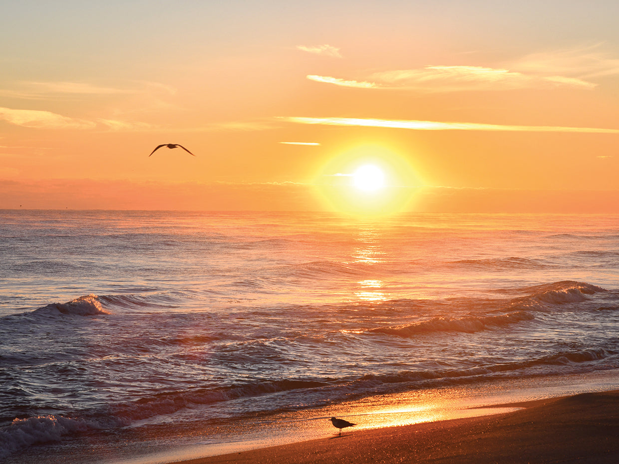 Sunrise Playalinda Beach 2