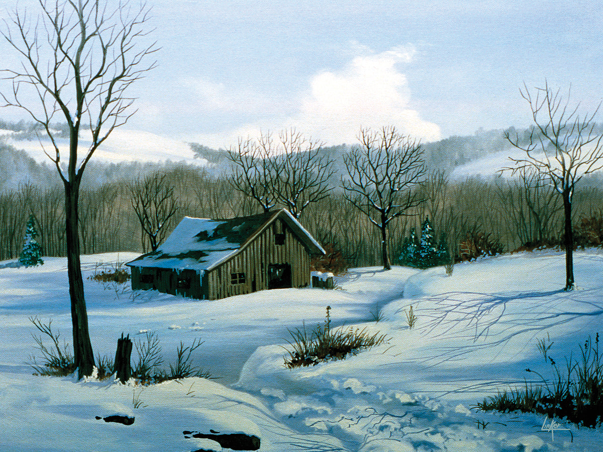Snowed Barn