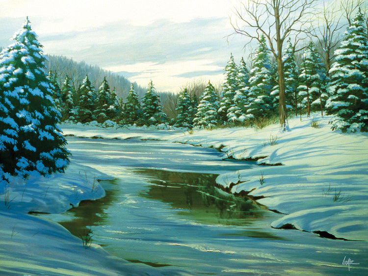 Pine Trees in Winter