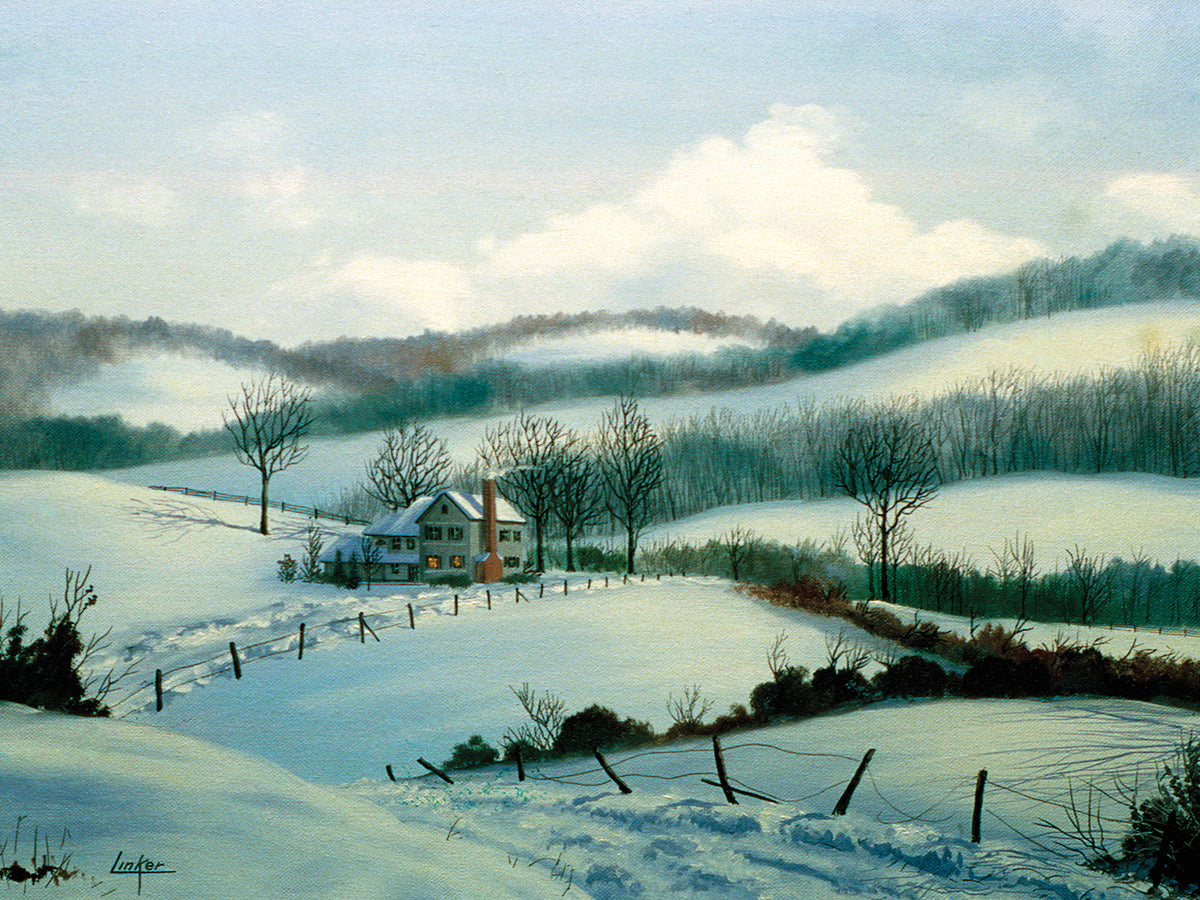 House on Winter