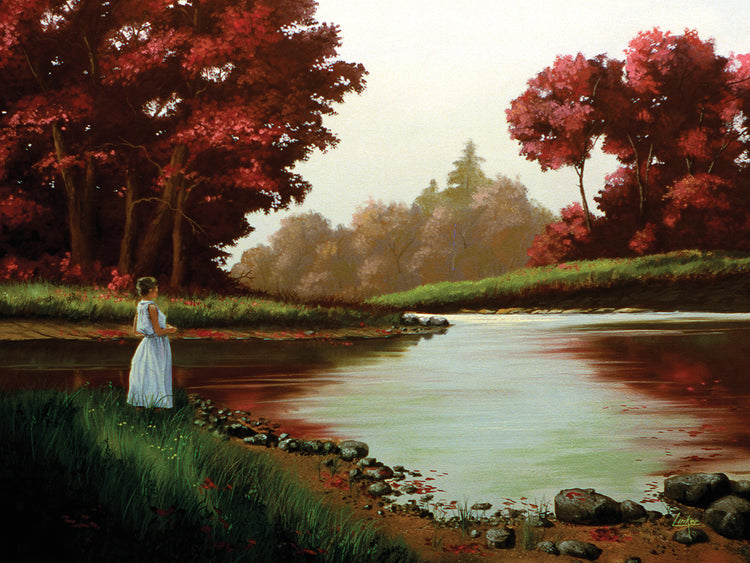 Enjoying the View on the Forest