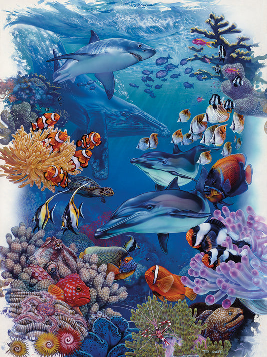357 Reef Canvas Art