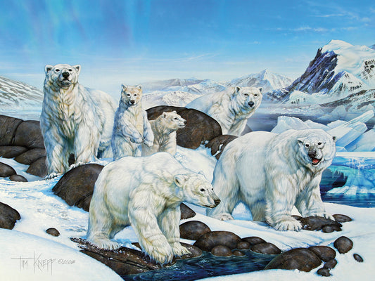 Polar Bears Canvas Art