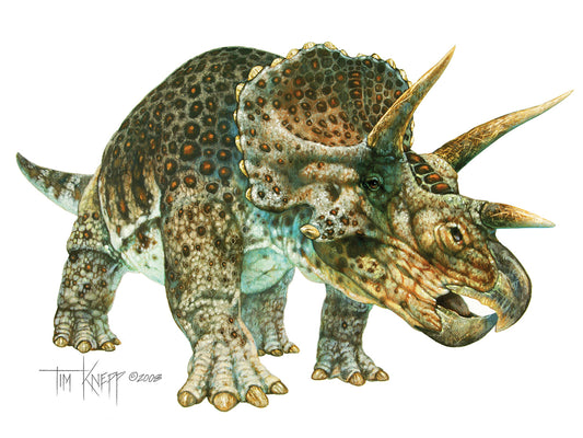 Triceratops Canvas Art