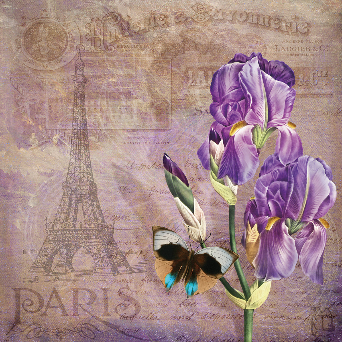 Ville de Paris II