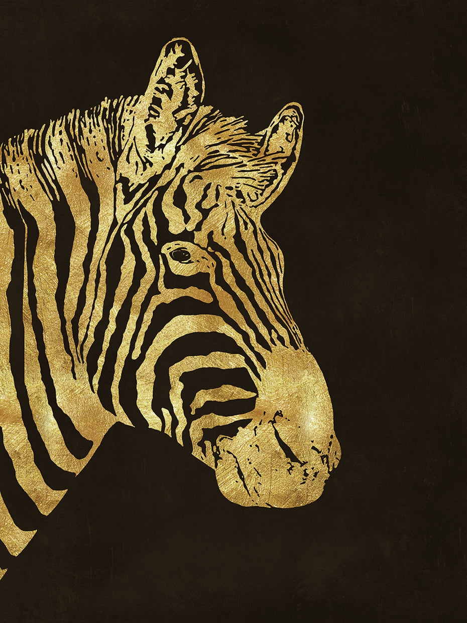 Golden Zebra