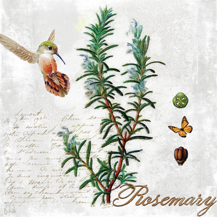 Botanical Garden Rosemary Herb