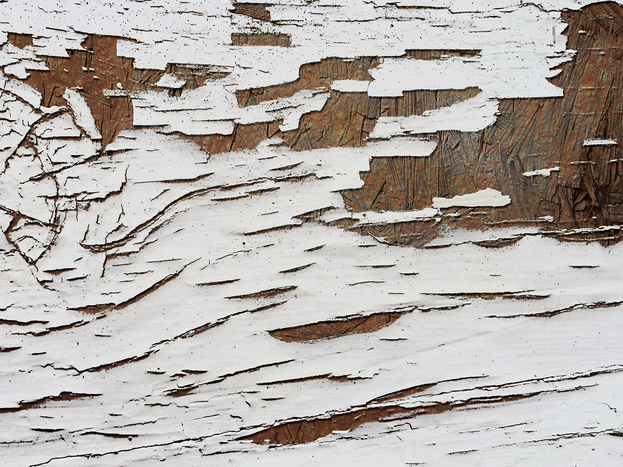 Whitewash 001