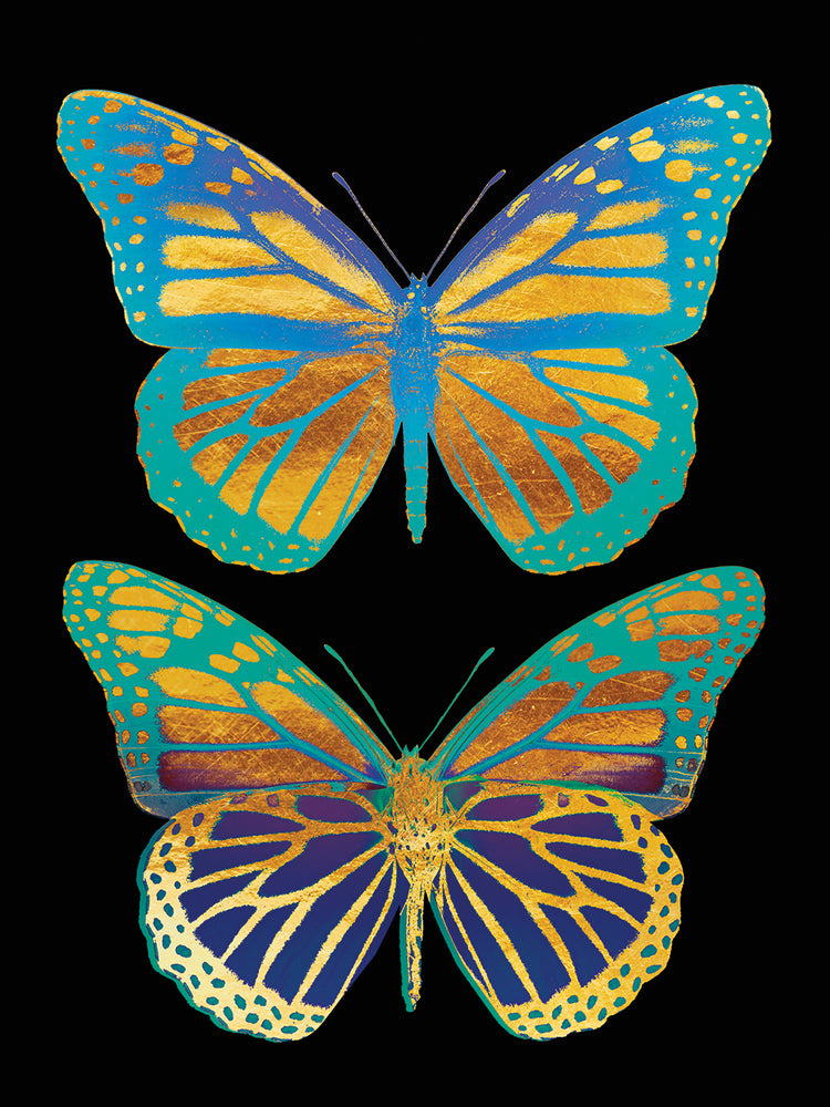 Danaus Plexippus Psychedelicus I