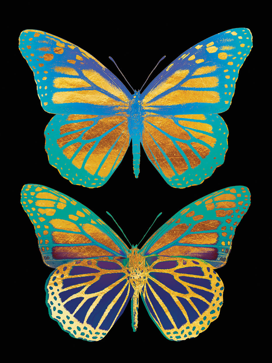 Danaus Plexippus Psychedelicus I