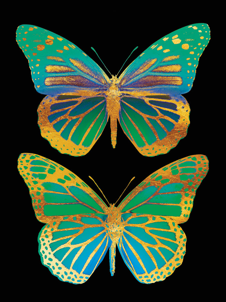 Danaus Plexippus Psychedelicus II