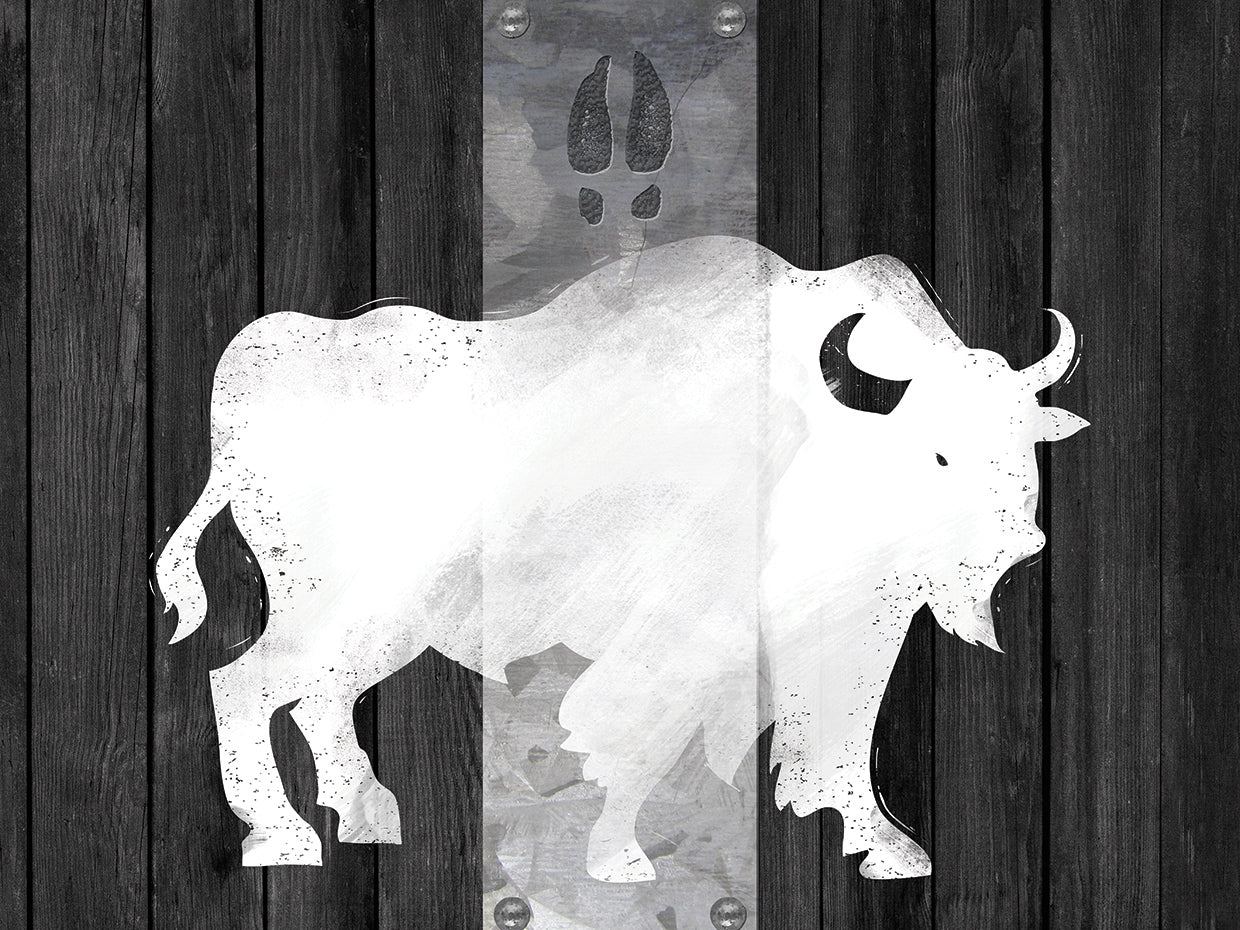Bufalo Blanco Lodge
