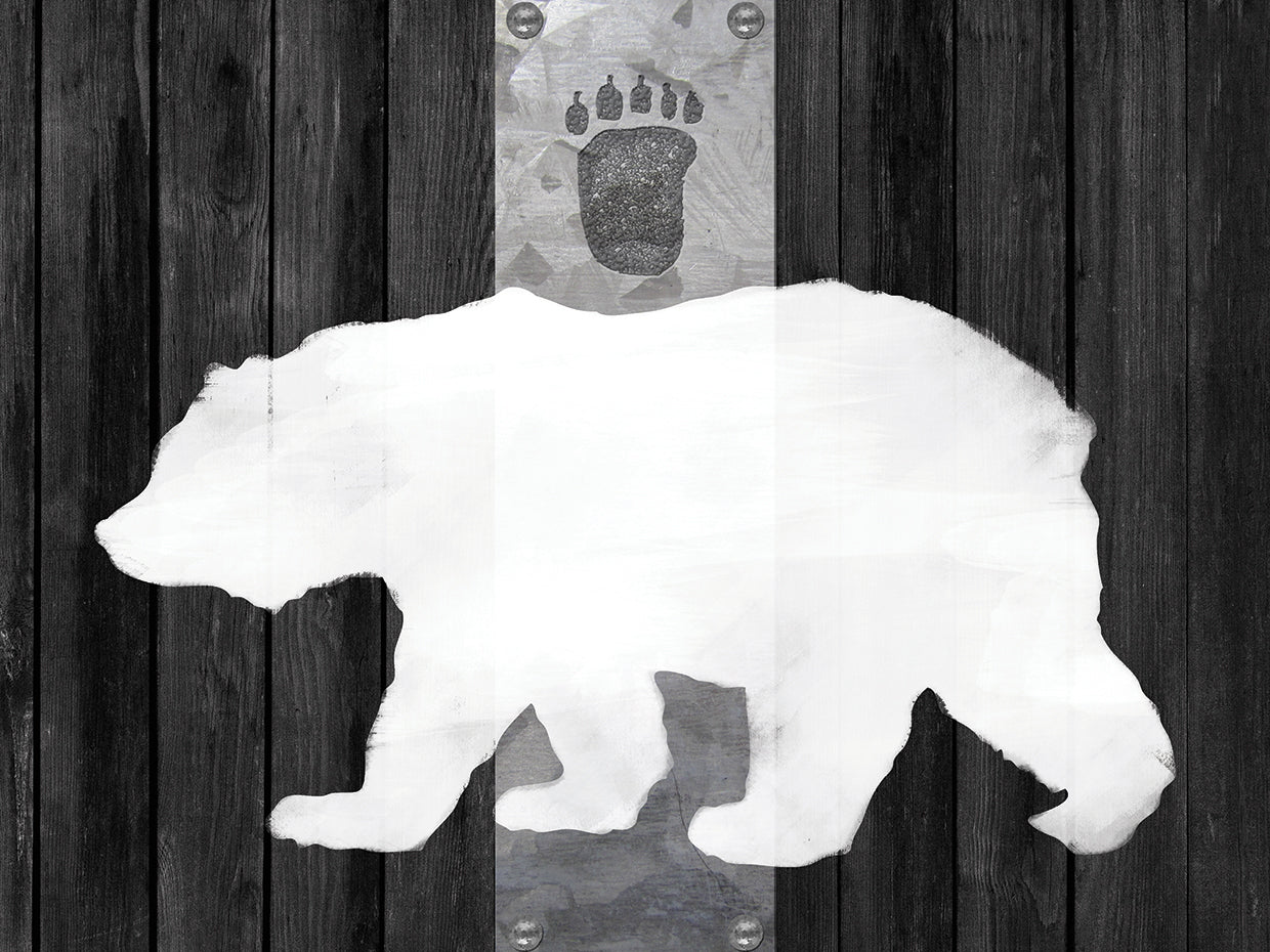 Oso Blanco Lodge