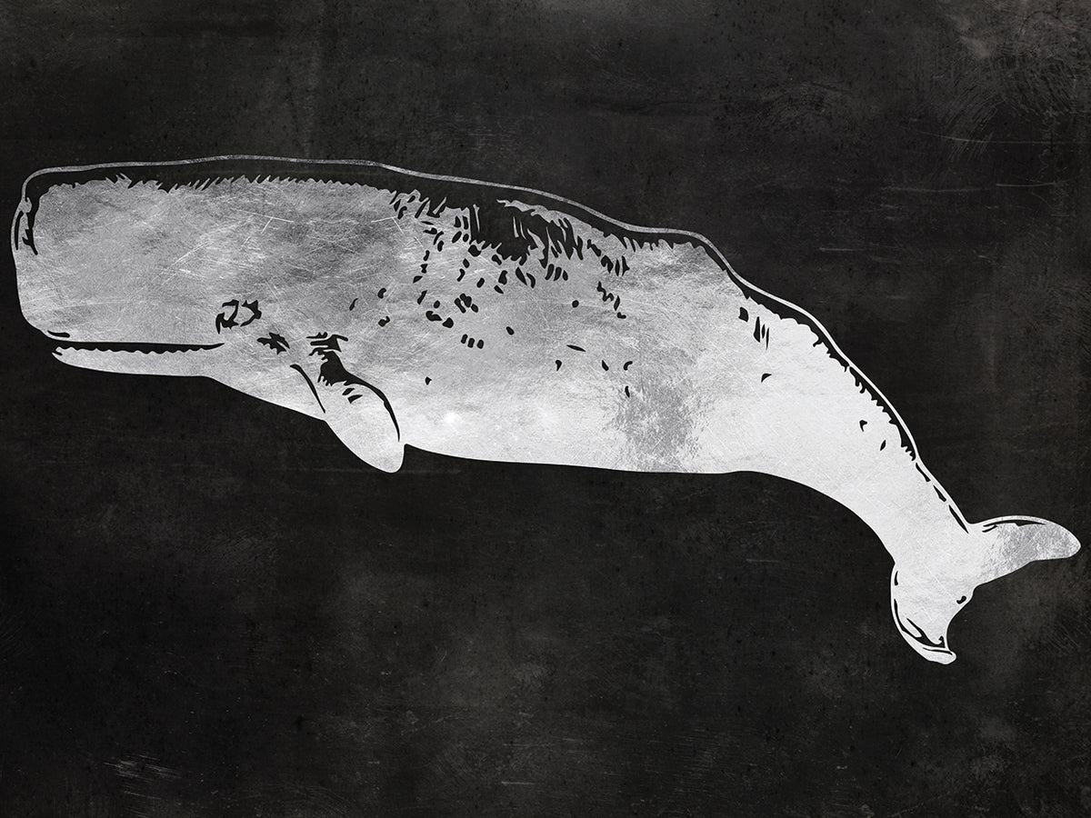Sperm Whale
