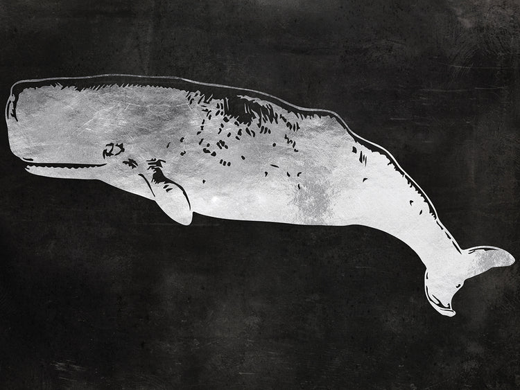 Sperm Whale