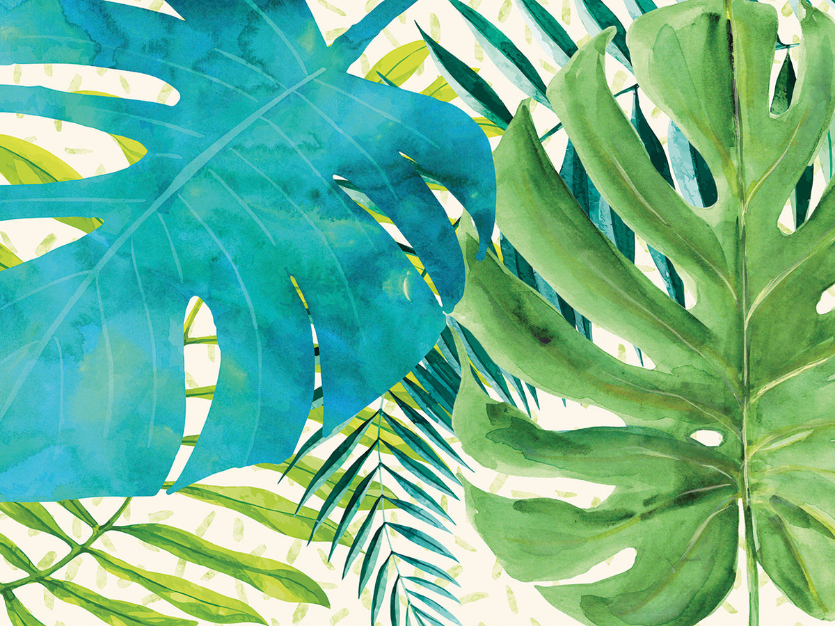 Rainforest Canopy