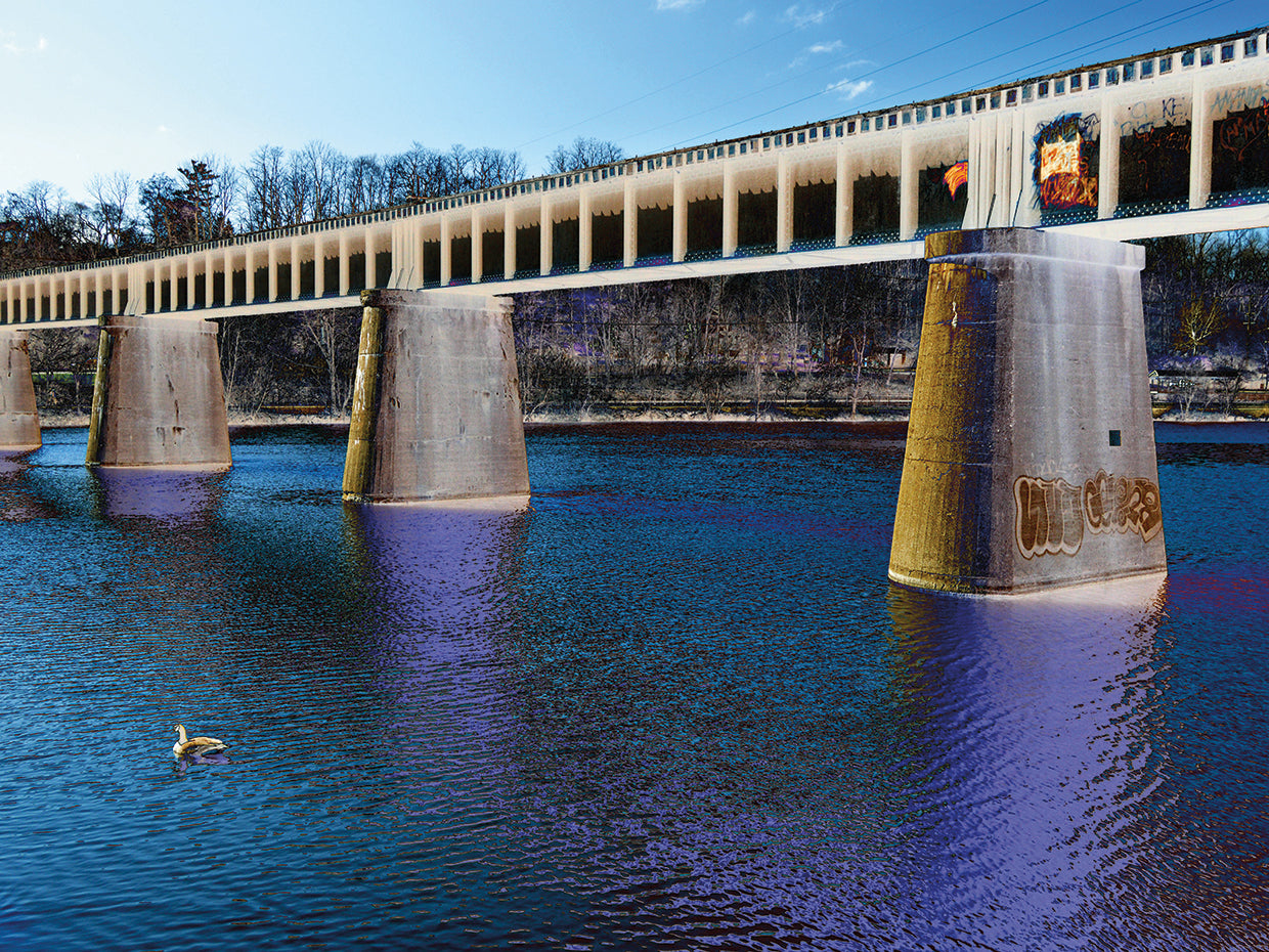 Multicolor Rail Road Duck