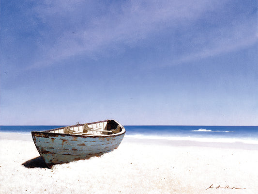 Beached Boat 3 Canvas Print