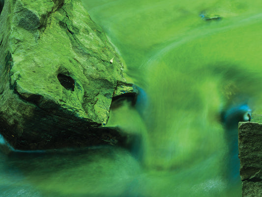 Interesting Rock In Green Light On Water At Dawn Canvas Art