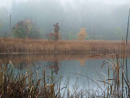 Autumn Foliage In Morning Fog Along Pond Canvas Art