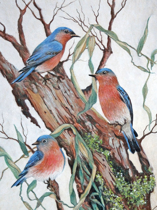 Bluebirds at Rest Canvas Print