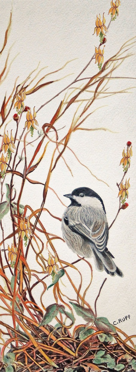 Chickadee in Summer Grass Canvas Print