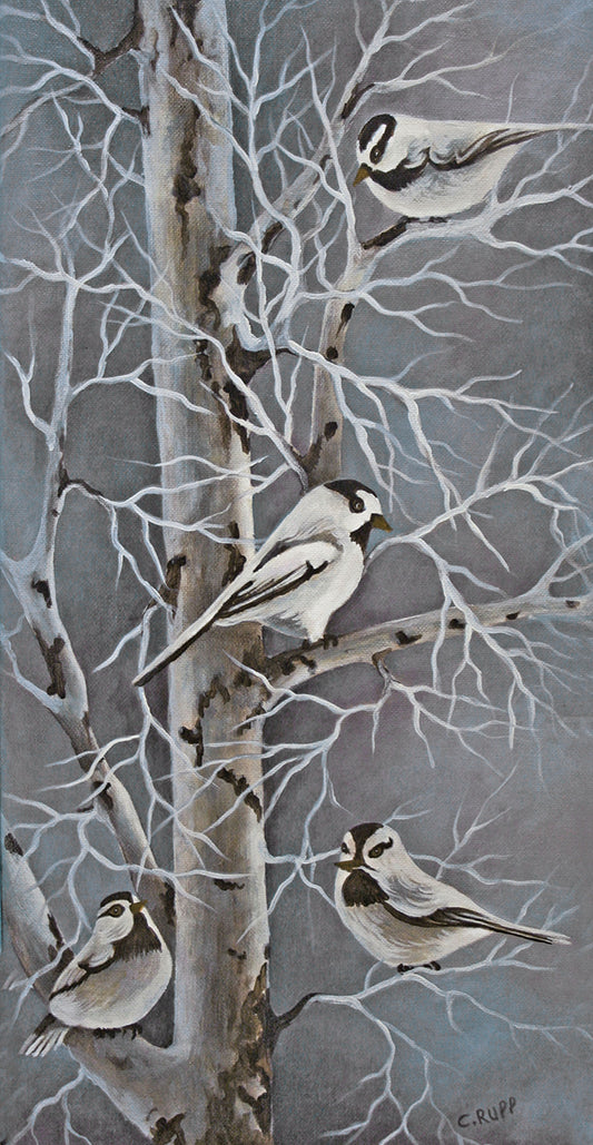 Chickadee Quartet Canvas Print