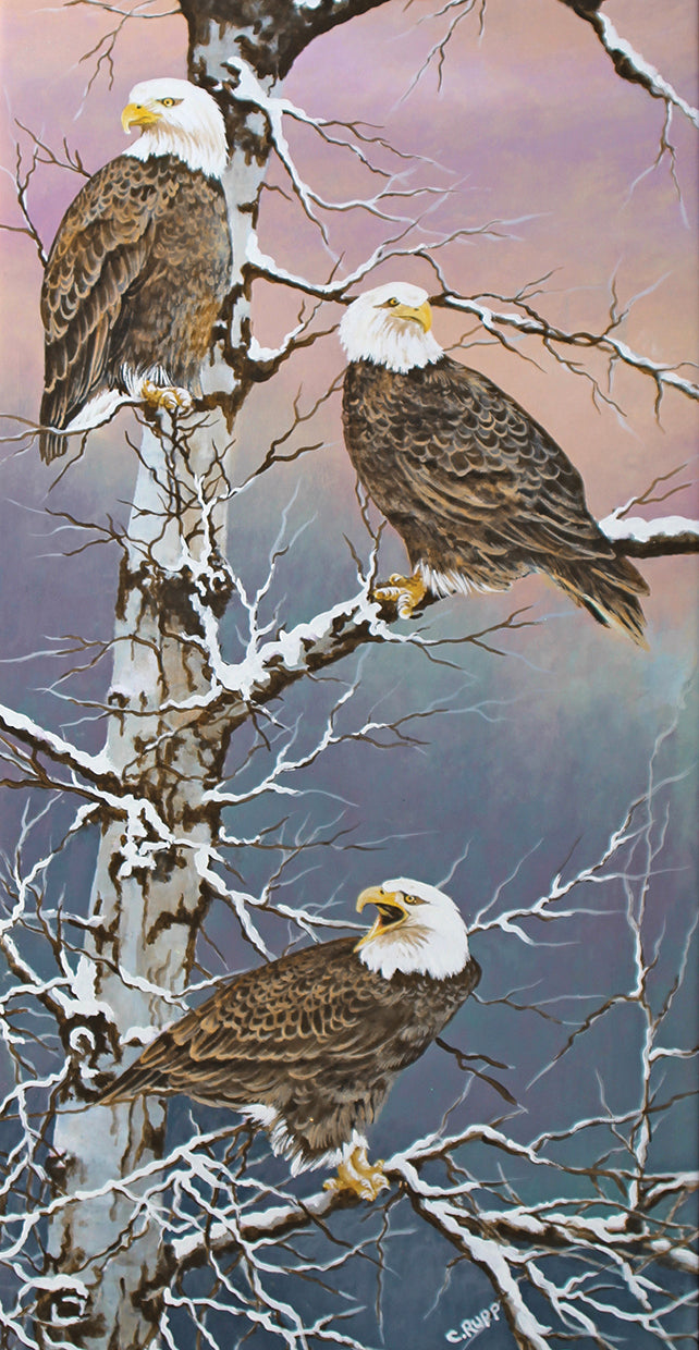 Eagle Trio at Dawn