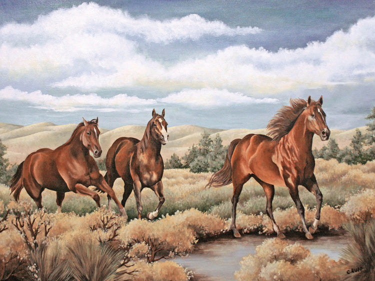 Spirit of the Southwest