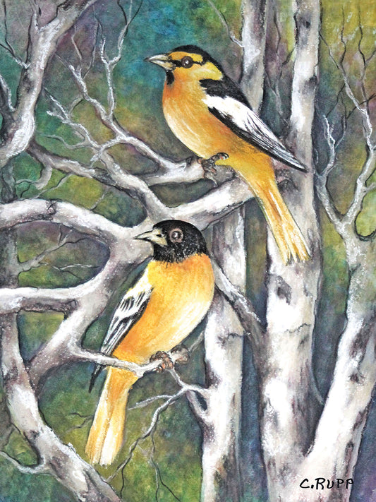 Yellow Birds Canvas Print