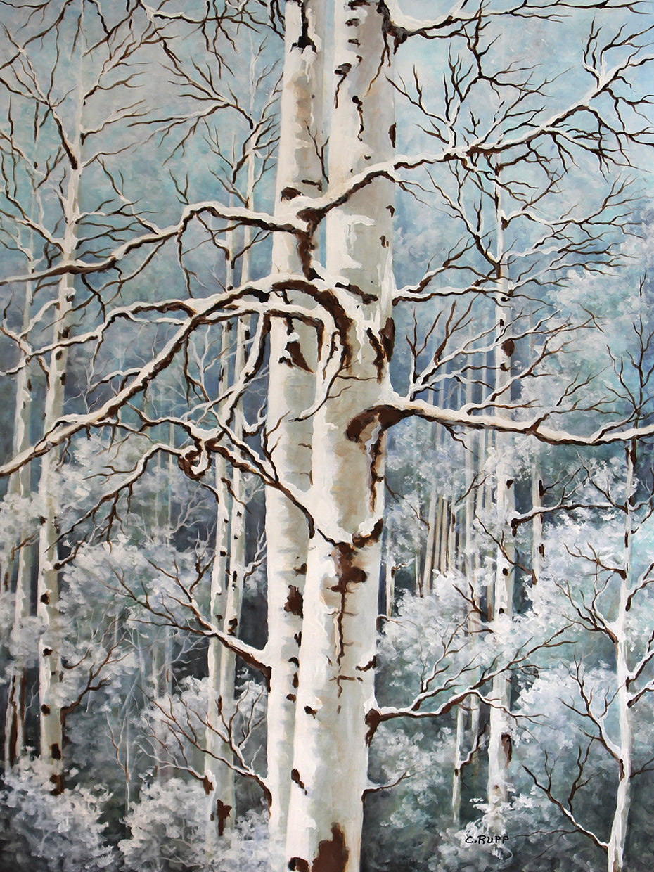 Aspen Duo Winter