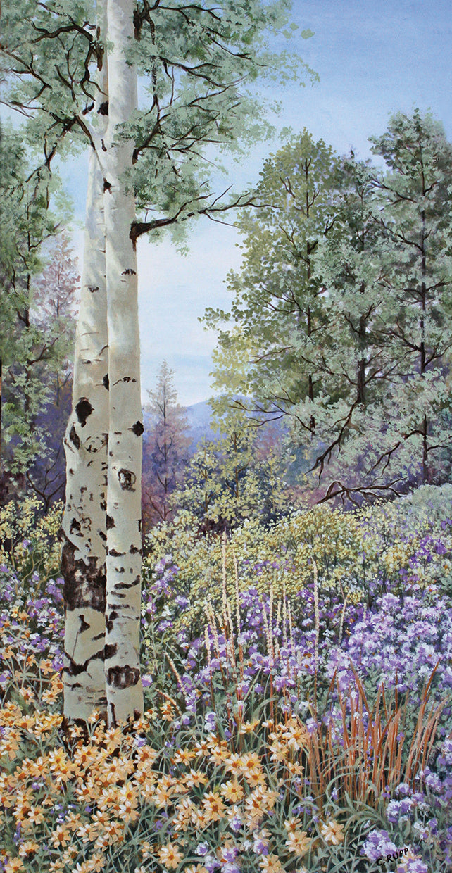 Aspen with Asters