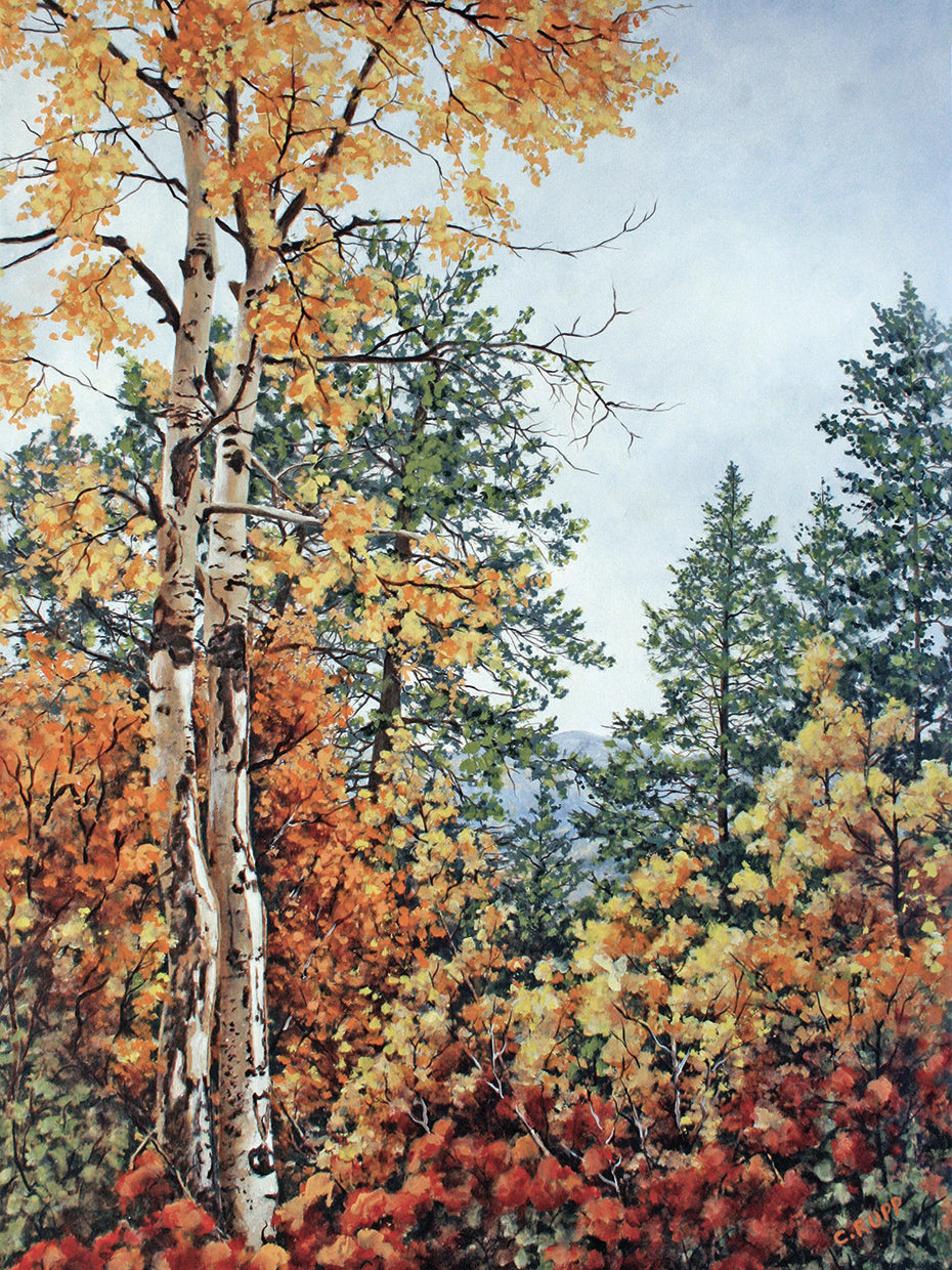 Autumn Splendor