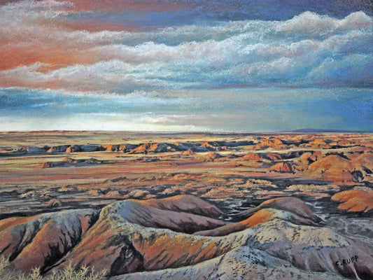 Desert Rain Canvas Art