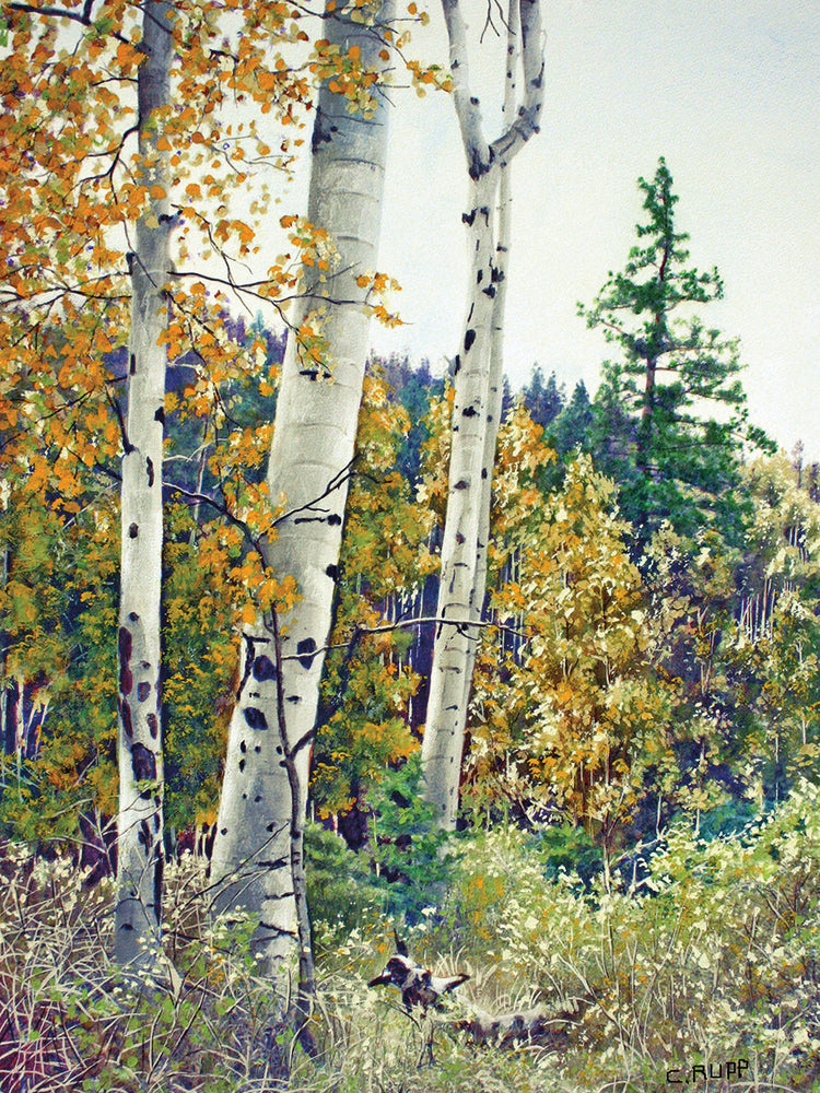 Edge of the Forest