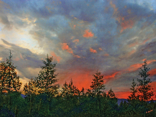 Fire in the Sky Canvas Art